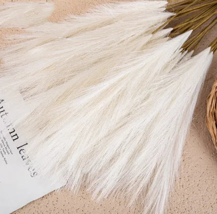 Pampas home decor